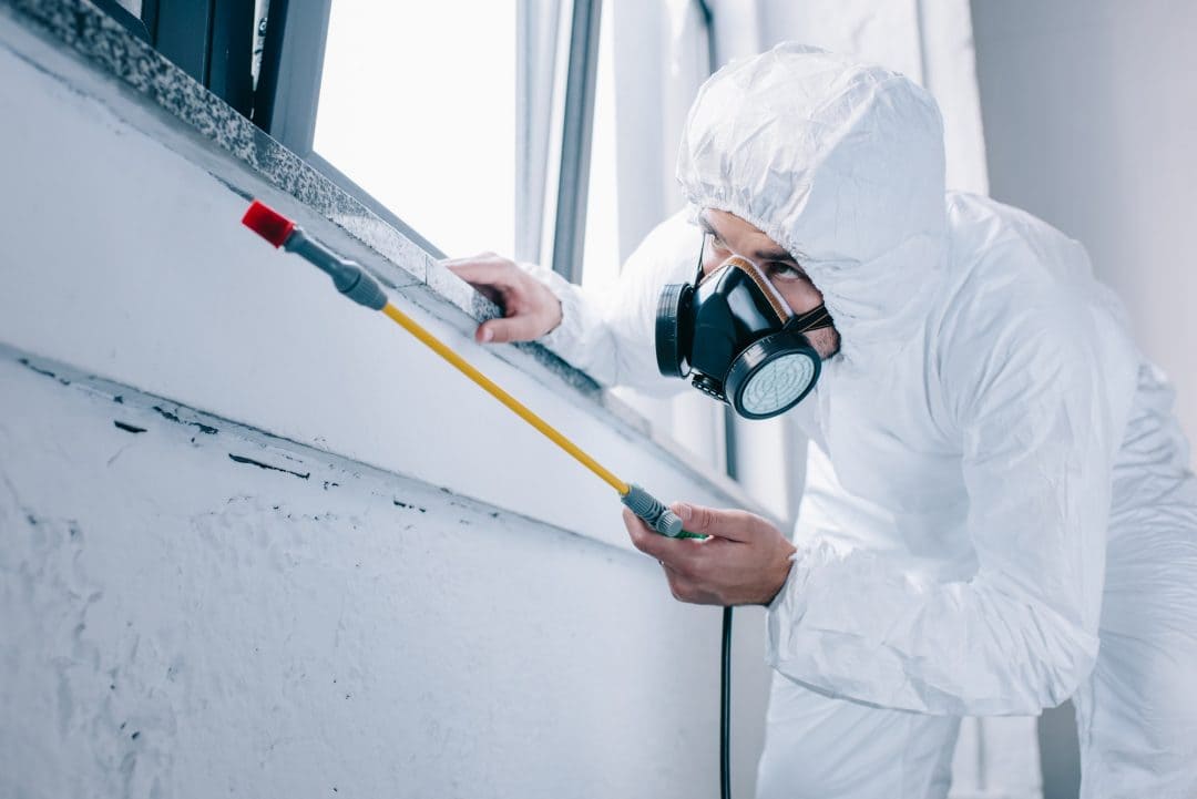 General Pest Control